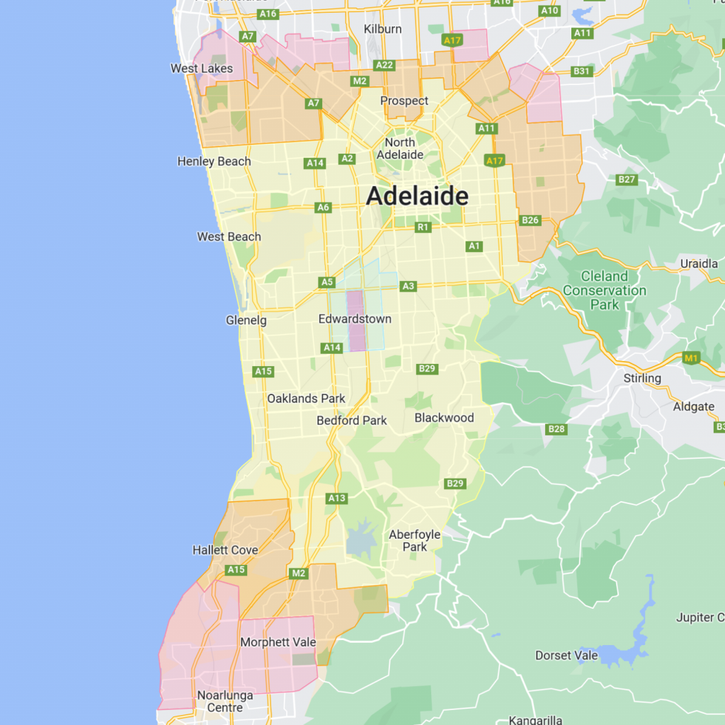 The Local Bunch fresh flowers daily in Adelaide