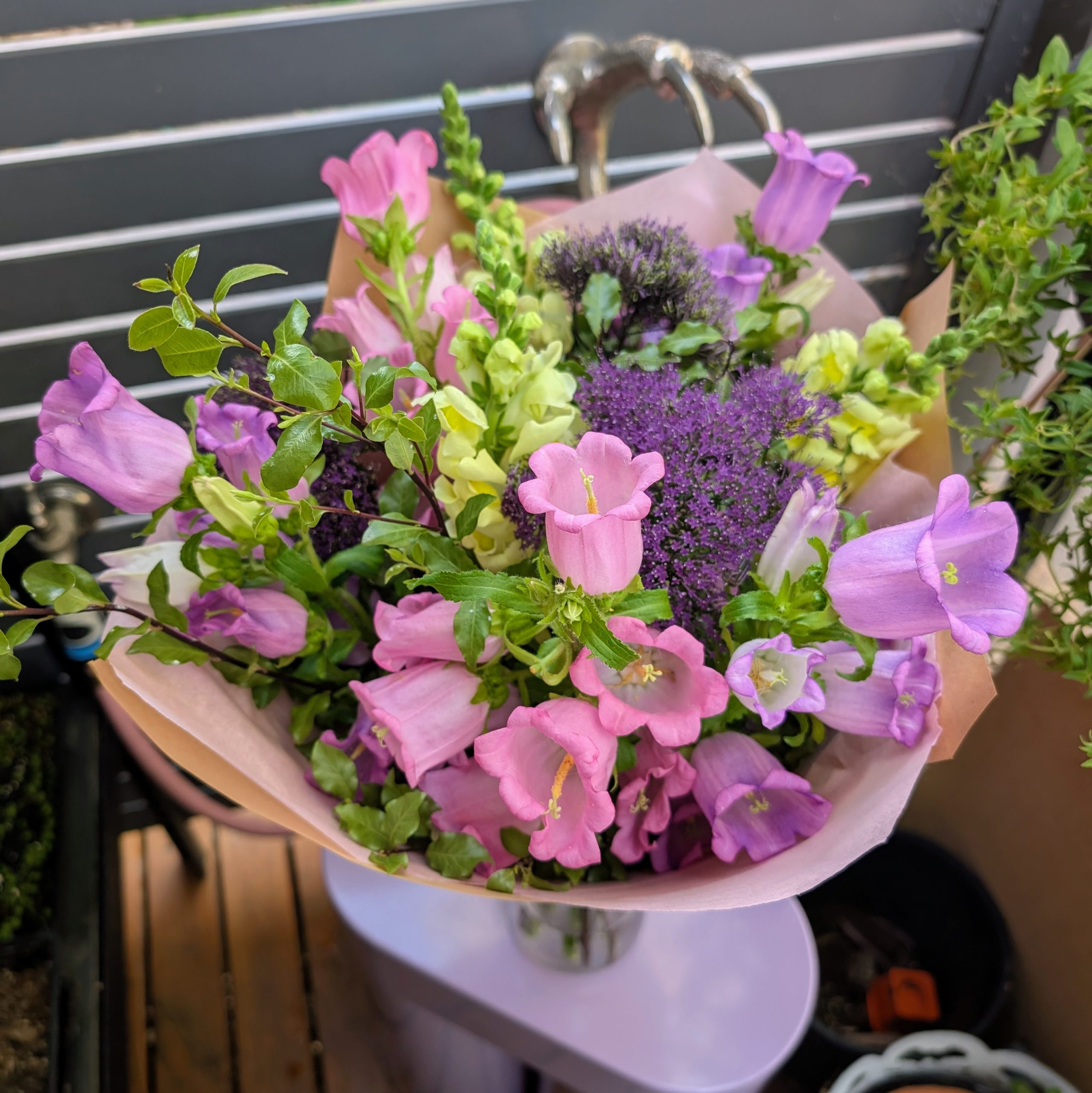 The Daily Bunch - Stunner