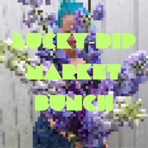 Lucky-Dip Market Bunch