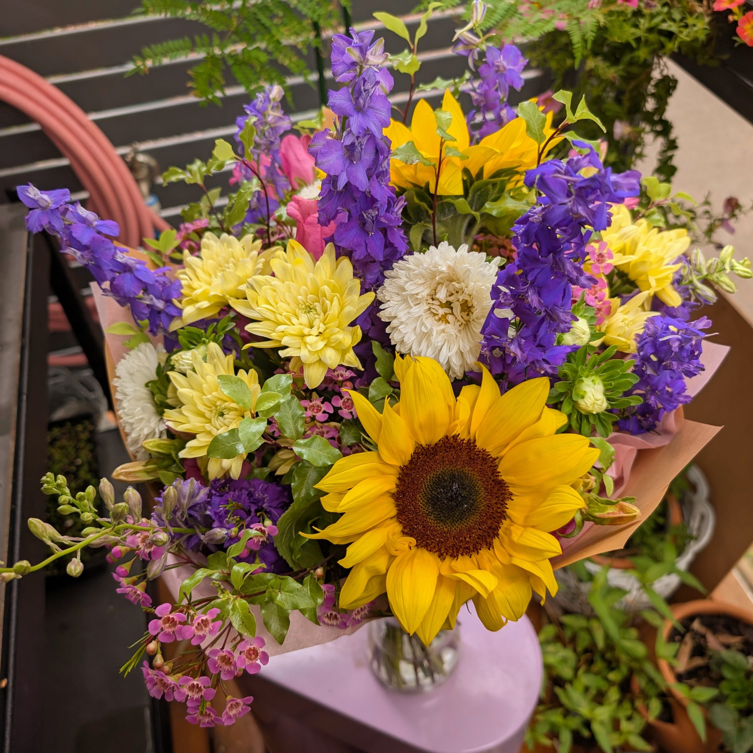 The Daily Bunch - Stunner